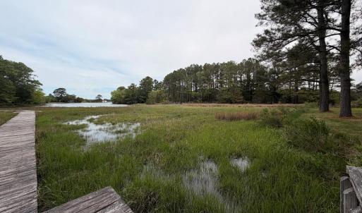 Photo #14 of 24448 FINNEY DR, ONANCOCK, VA 2.6 acres