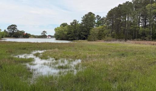 Photo #15 of 24448 FINNEY DR, ONANCOCK, VA 2.6 acres