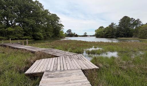 Photo #17 of 24448 FINNEY DR, ONANCOCK, VA 2.6 acres