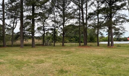 Photo #10 of 24448 FINNEY DR, ONANCOCK, VA 2.6 acres