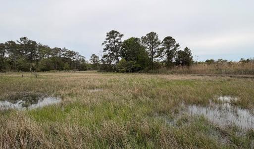 Photo #17 of 24448 FINNEY DR, ONANCOCK, VA 2.6 acres