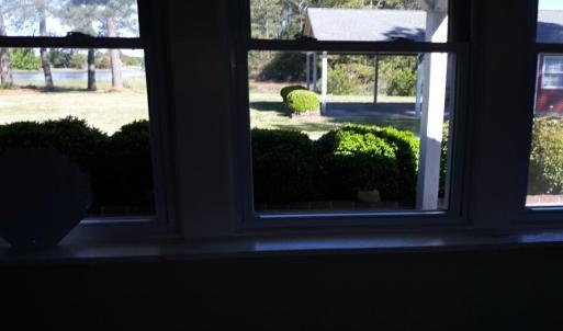 Photo #57 of 24448 FINNEY DR, ONANCOCK, VA 2.6 acres