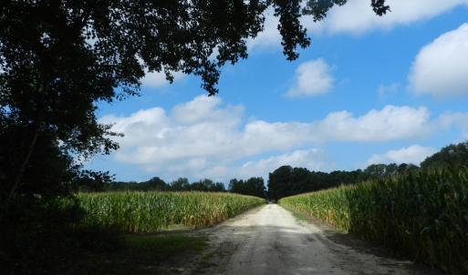 Photo #24 of 11147 HERMITAGE RD, CRADDOCKVILLE, VA 3.1 acres