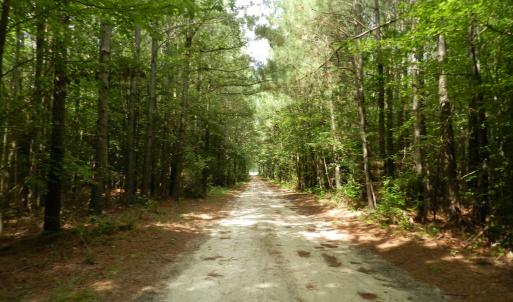 Photo #31 of 11147 HERMITAGE RD, CRADDOCKVILLE, VA 3.1 acres