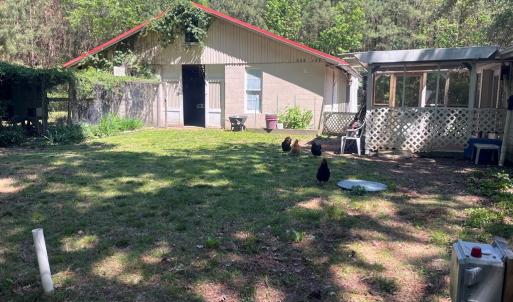 Lots of space for your chickens