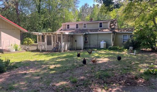 Lots of space for your chickens