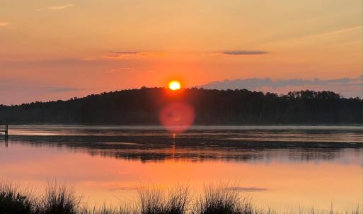 Photo #7 of 20186 FISHERMANS LN, ONANCOCK, VA 15,300.0 acres