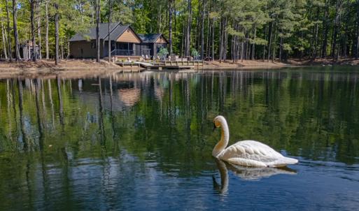 Photo #44 of 15589 COUNTY LINE RD, BELLE HAVEN, VA 7.2 acres