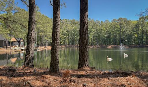 Photo #48 of 15589 COUNTY LINE RD, BELLE HAVEN, VA 7.2 acres