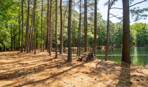 Photo #49 of 15589 COUNTY LINE RD, BELLE HAVEN, VA 7.2 acres