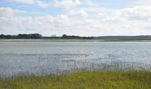 Photo #59 of 15589 COUNTY LINE RD, BELLE HAVEN, VA 7.2 acres