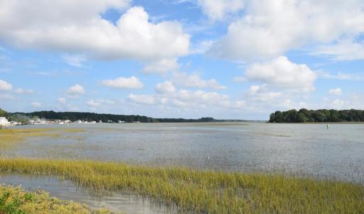 Photo #60 of 15589 COUNTY LINE RD, BELLE HAVEN, VA 7.2 acres