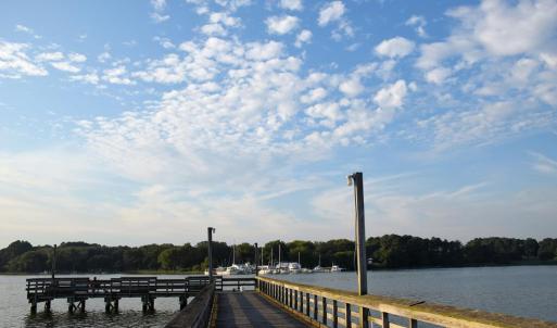 Photo #63 of 15589 COUNTY LINE RD, BELLE HAVEN, VA 7.2 acres