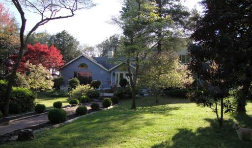 View from the road