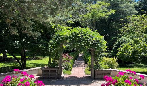 View from front entrance