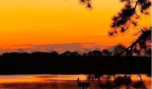 Sunset, A beautiful sunset. Note the resident osprey perched on his or her nest.