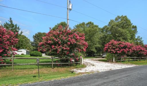 Photo #4 of 25367 MESSONGO RD, TEMPERANCEVILLE, VA 41.0 acres