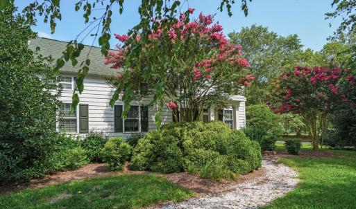 Photo #5 of 25367 MESSONGO RD, TEMPERANCEVILLE, VA 41.0 acres