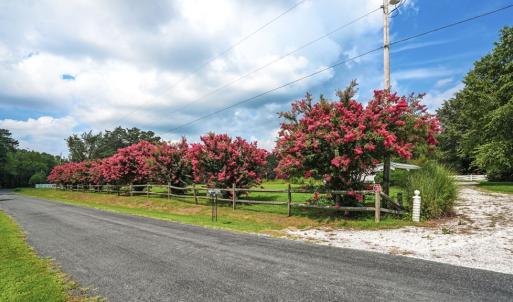Photo #74 of 25367 MESSONGO RD, TEMPERANCEVILLE, VA 41.0 acres