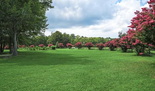 Photo #76 of 25367 MESSONGO RD, TEMPERANCEVILLE, VA 41.0 acres