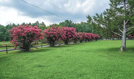 Photo #78 of 25367 MESSONGO RD, TEMPERANCEVILLE, VA 41.0 acres