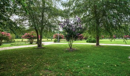 Photo #81 of 25367 MESSONGO RD, TEMPERANCEVILLE, VA 41.0 acres