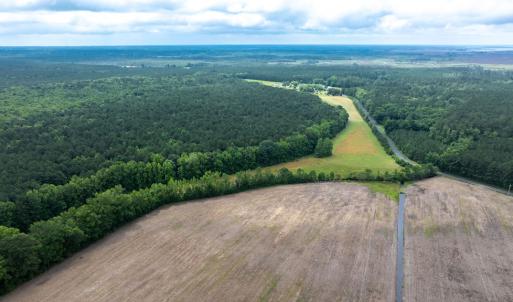 Photo #96 of 25367 MESSONGO RD, TEMPERANCEVILLE, VA 41.0 acres