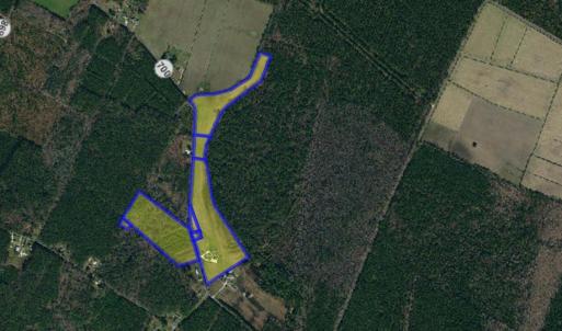 Photo #97 of 25367 MESSONGO RD, TEMPERANCEVILLE, VA 41.0 acres