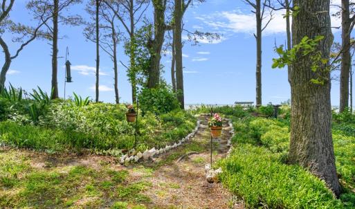 Photo #28 of 10888 CHURCH NECK RD, MACHIPONGO, VA 1.5 acres