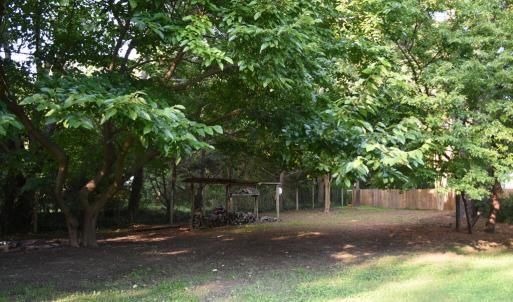 Back of Shed