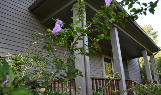 Front Porch w/ Rose of Sharon