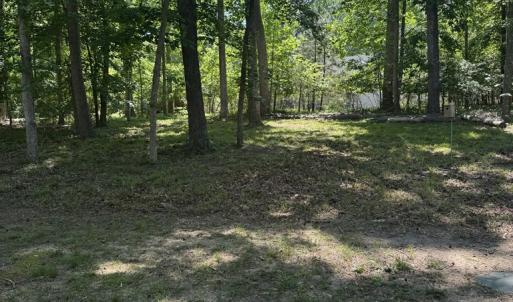 Photo #31 of 2328 MERMAID, GREENBACKVILLE, VA 0.3 acres