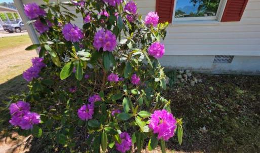 Photo #57 of 26030 CIRCLE DR, BLOXOM, VA 0.5 acres