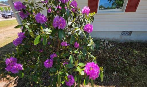 Photo #57 of 26030 CIRCLE DR, BLOXOM, VA 0.5 acres