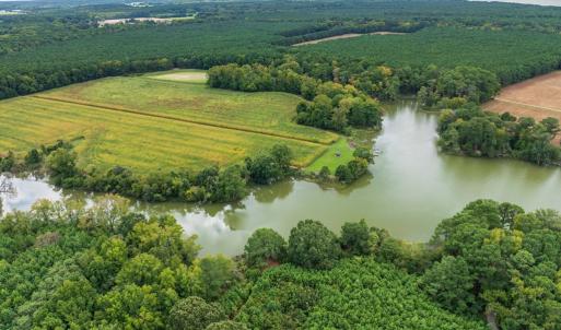 Photo #50 of 6085 MATTASIPPY DRIVE, EXMORE, VA 12.0 acres