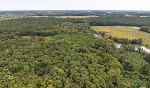 Photo #51 of 6085 MATTASIPPY DRIVE, EXMORE, VA 12.0 acres