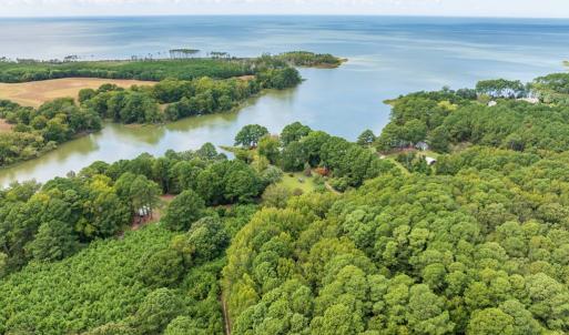 Photo #52 of 6085 MATTASIPPY DRIVE, EXMORE, VA 12.0 acres