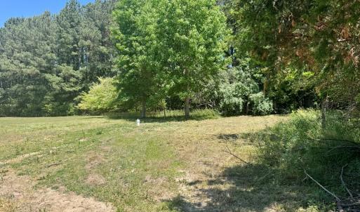 spacious back yard