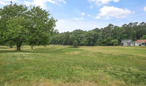 Photo #39 of 3346 NAVIGATOR DR, GREENBACKVILLE, VA 70.0 acres