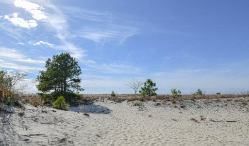 Photo #54 of 2118 BAYVIEW POINT LN, CAPE CHARLES, VA 3.6 acres