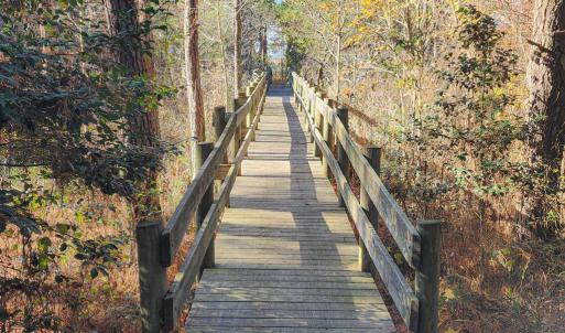 Photo #6 of 2118 BAYVIEW POINT LN, CAPE CHARLES, VA 3.6 acres