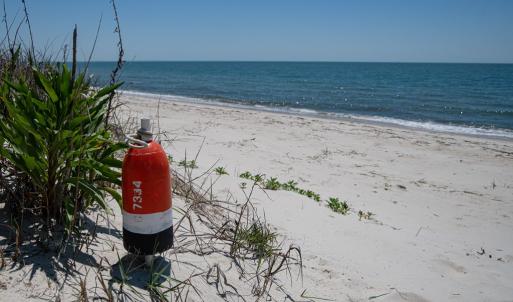 Photo #71 of 2118 BAYVIEW POINT LN, CAPE CHARLES, VA 3.6 acres