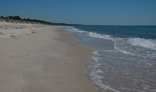 Photo #85 of 2118 BAYVIEW POINT LN, CAPE CHARLES, VA 3.6 acres