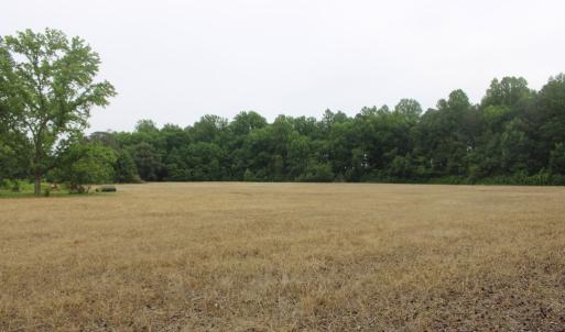 view towards house from property line