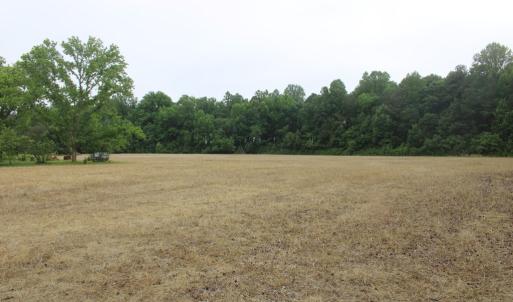 Photo #25 of 190 MARKET ST, ONANCOCK, VA 9.7 acres
