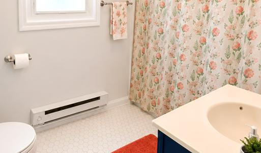 Photo #20 of 3758 WILLOW ST, CHINCOTEAGUE, VA 0.1 acres