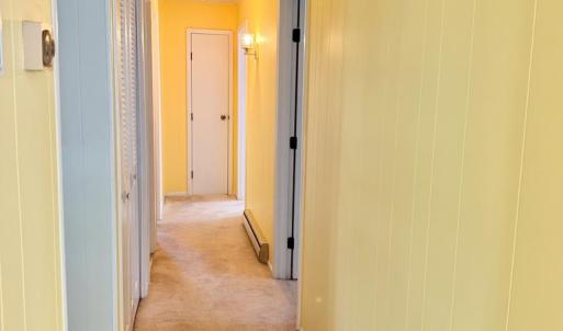 Photo #60 of 6337 CHESTER PARK DR, CHINCOTEAGUE, VA 0.3 acres