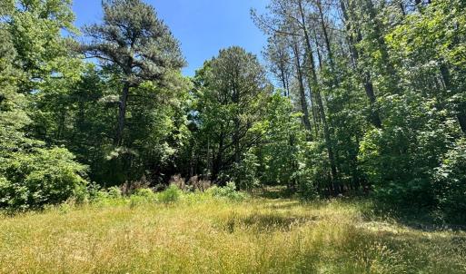 3+ acres across the street