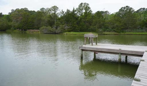 Photo #23 of 30191 BACK CREEK RD, HACKSNECK, VA 2.0 acres