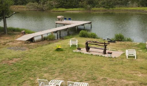 Photo #5 of 30191 BACK CREEK RD, HACKSNECK, VA 2.0 acres